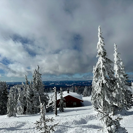 USV - Großarl: Fußball, Tennis, Nordisch, Ski